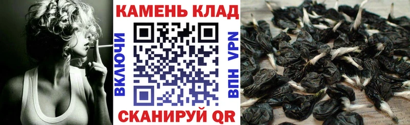 где продают   кракен ONION  ГАШИШ гарик  Петровск-Забайкальский 