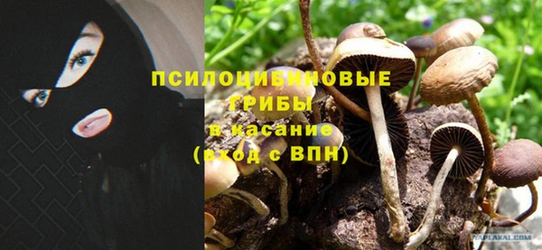 хмурый Алексеевка