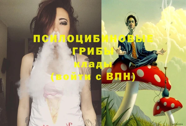 винт Осташков