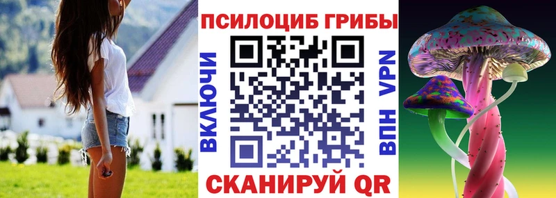 Галлюциногенные грибы GOLDEN TEACHER  Петровск-Забайкальский 